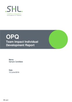 OPQ32 Team Impact Individual Development Report