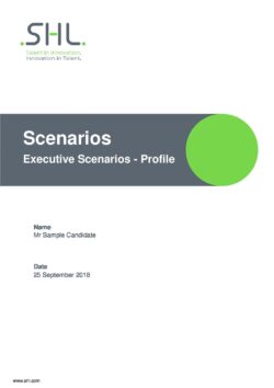 SHL Executive Scenarios Profile